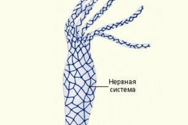 Кракен даркнет лол