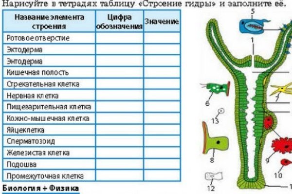 Каталог сайтов даркнет